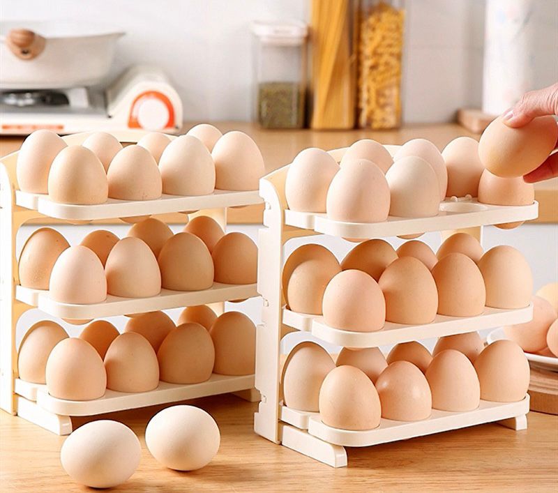 ORGANIZADOR DE HUEVOS