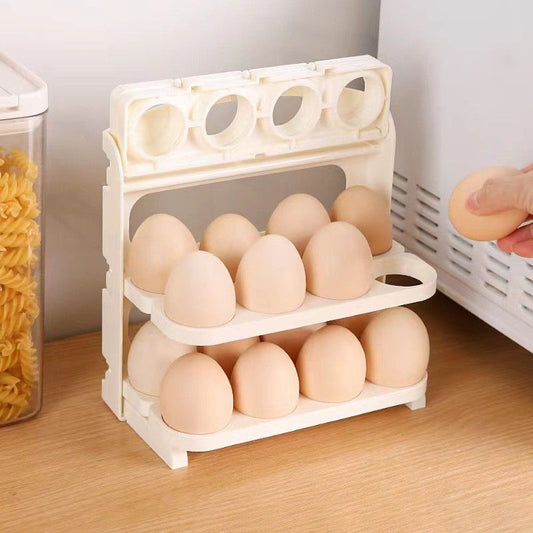 ORGANIZADOR DE HUEVOS